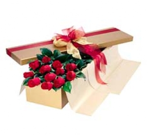 Aliflora Roses in Box
