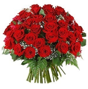 Bouquet 36 rose rosse