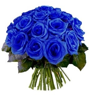 Bouquet blue roses