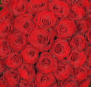 Extra roses of your choice