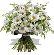 Bouquet daisies