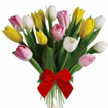 Bouquet tulipani misto